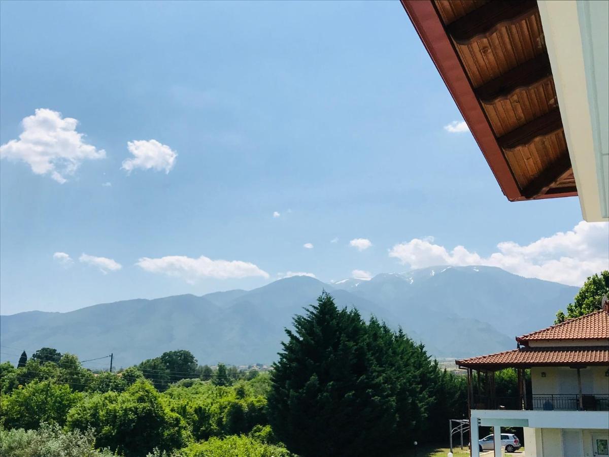 Dimeli 1 Apartment Plaka Litochorou Luaran gambar